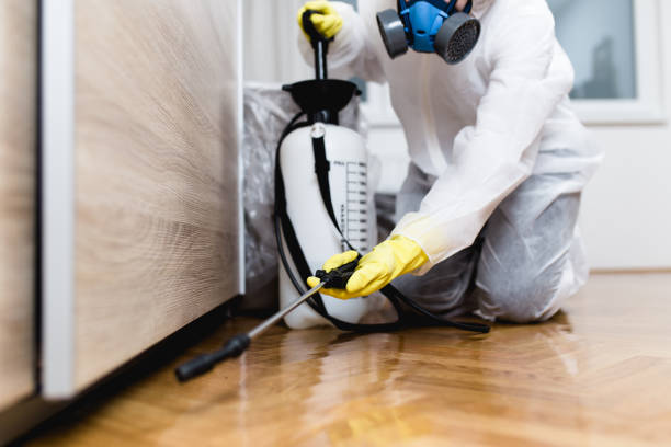 Best Best Pest Control Companies  in Exeter, CA