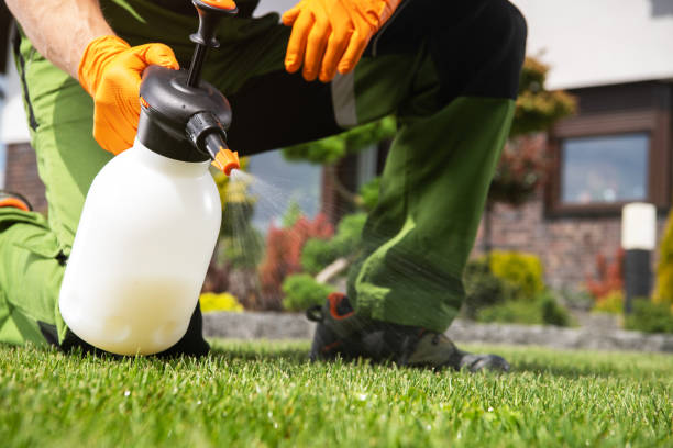 Best Pest Inspection Near Me  in Exeter, CA