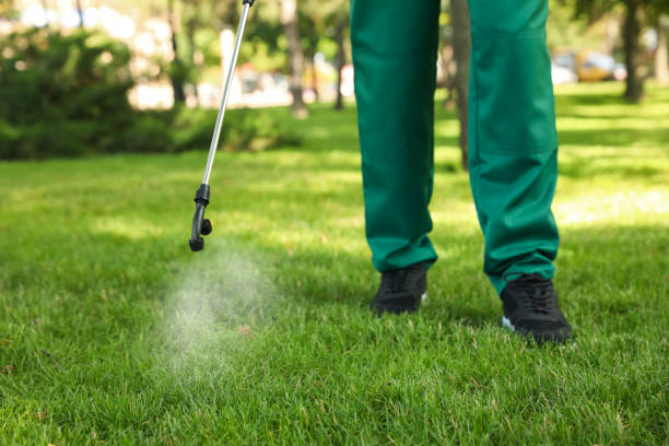 Best Rodent Control Near Me  in Exeter, CA