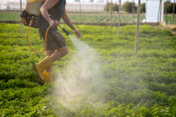 Best Best Pest Control Companies  in Exeter, CA