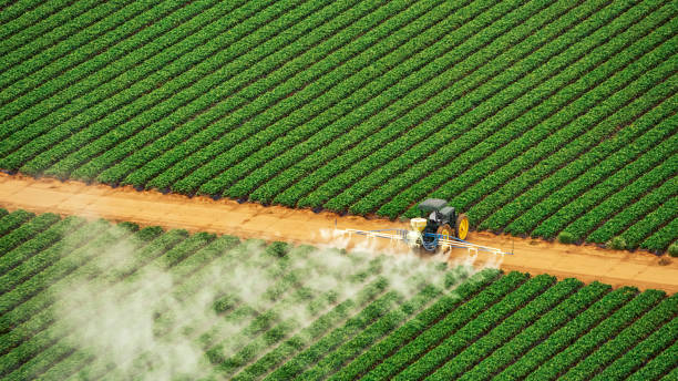 Best Pest Removal Services  in Exeter, CA