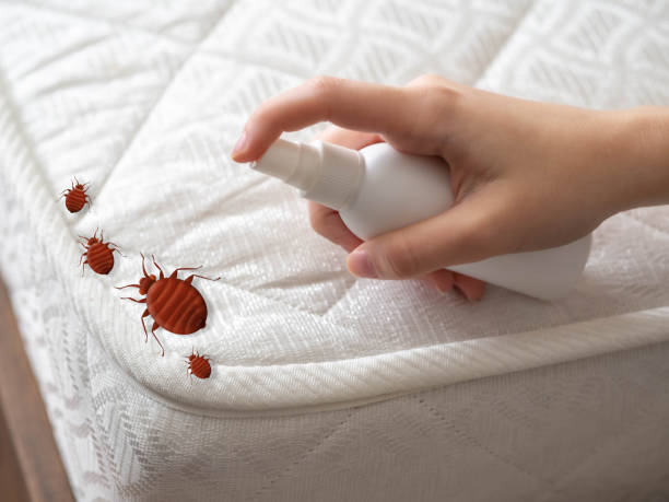 Pest Prevention Services in Exeter, CA