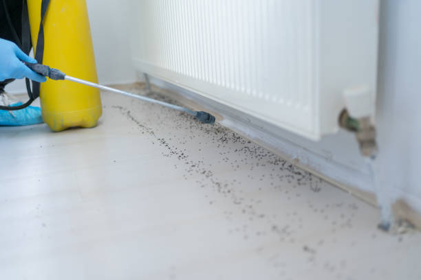 Best Bed Bug Extermination  in Exeter, CA