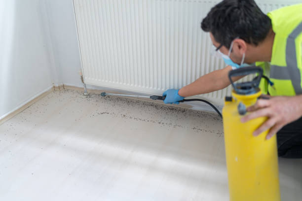 Best Pest Removal Services  in Exeter, CA